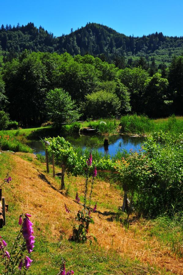 Lucky Mud Inn And Disc Golf Resort Skamokawa Εξωτερικό φωτογραφία